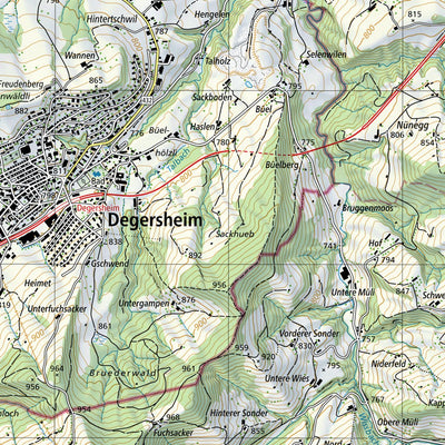 SwissTopo Diepoldsau, 1:25,000 digital map