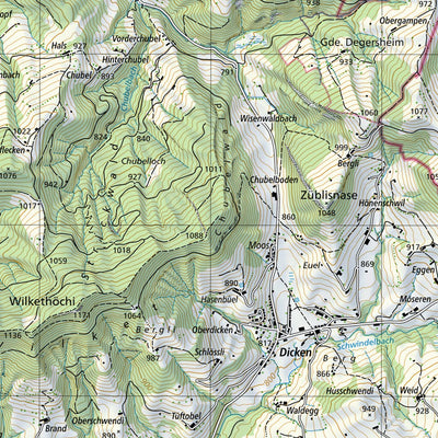 SwissTopo Diepoldsau, 1:25,000 digital map