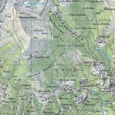 SwissTopo Geneve, 1:25,000 digital map