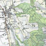 SwissTopo Grandson, 1:25,000 digital map