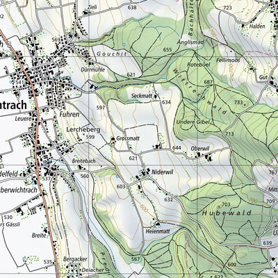 SwissTopo Grandson, 1:25,000 digital map