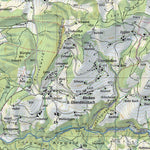 SwissTopo Grandson, 1:25,000 digital map