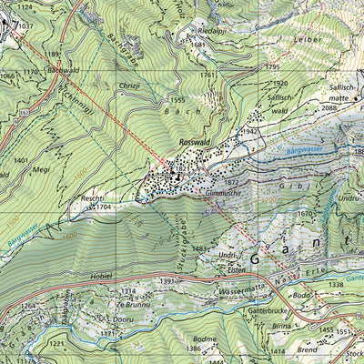 SwissTopo Grono, 1:25,000 digital map