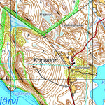 Tapio Palvelut Oy / Karttakeskus Isojärvi 1:25 000 digital map
