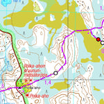 Tapio Palvelut Oy / Karttakeskus Pyhä-Häkki 1:25 000 digital map