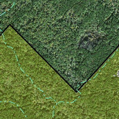 Three Bar Mapping Solutions Individal Compartment Map of the Davy Crockett National Forest v112 digital map