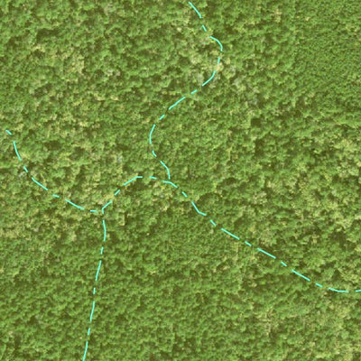 Three Bar Mapping Solutions Individal Compartment Map of the Davy Crockett National Forest v4 bundle exclusive