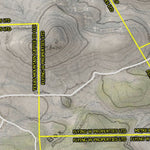 Three Bar Mapping Solutions Jeff Davis - Compartment 101 digital map