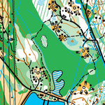 Unincorporated Fire Mt digital map