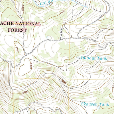United States Geological Survey Alpine, AZ (2021, 24000-Scale) digital map