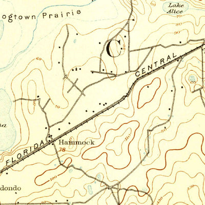 United States Geological Survey Arredono, FL (1894, 62500-Scale) digital map