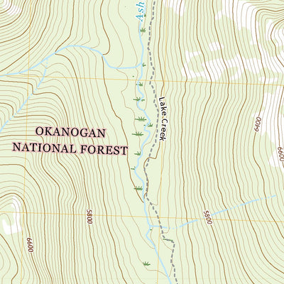 United States Geological Survey Ashnola Pass, WA (2020, 24000-Scale) digital map