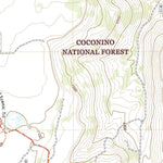 United States Geological Survey Ashurst Lake, AZ (2021, 24000-Scale) digital map