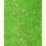 United States Geological Survey Bald King, WV (1928, 62500-Scale) digital map