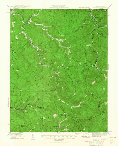 United States Geological Survey Bald King, WV (1928, 62500-Scale) digital map