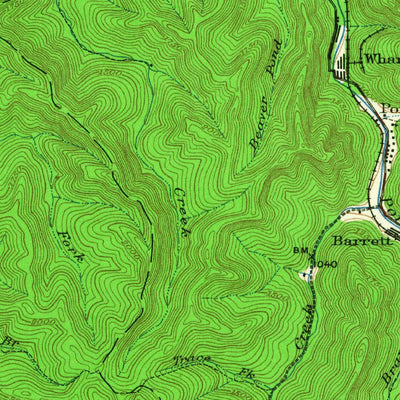 United States Geological Survey Bald King, WV (1928, 62500-Scale) digital map