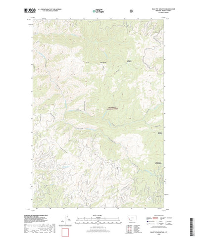 United States Geological Survey Bald Top Mountain, MT (2020, 24000-Scale) digital map