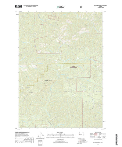United States Geological Survey Baldy Mountain, OR (2020, 24000-Scale) digital map