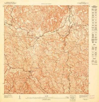 United States Geological Survey Bayaney SW, PR (1947, 10000-Scale) digital map