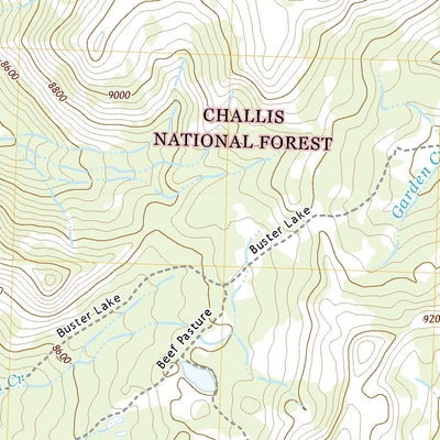 United States Geological Survey Bayhorse Lake, ID (2020, 24000-Scale) digital map