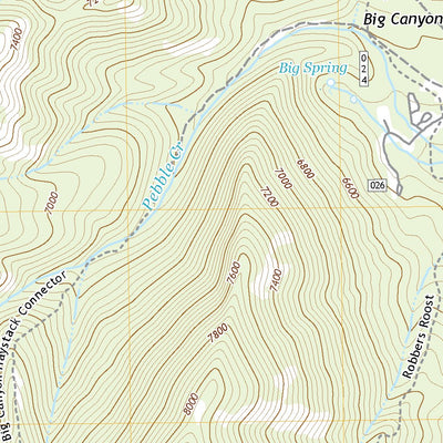 United States Geological Survey Bear Camp Gulch, ID (2020, 24000-Scale) digital map