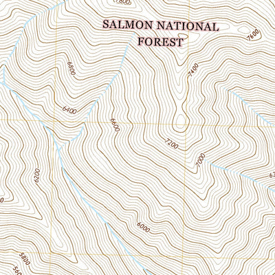 United States Geological Survey Bear Creek Point, ID (2020, 24000-Scale) digital map