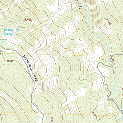 United States Geological Survey Bear Valley, CA (2021, 24000-Scale) digital map
