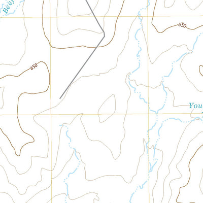 United States Geological Survey Beef Hollow Creek, TX (2022, 24000-Scale) digital map
