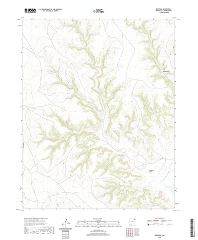 United States Geological Survey Beenham, NM (2020, 24000-Scale) digital map