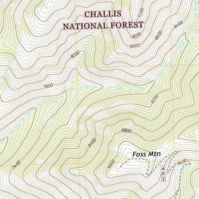 United States Geological Survey Bell Mountain, ID (2020, 24000-Scale) digital map