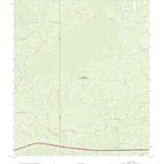 United States Geological Survey Big Gum Swamp, FL (2021, 24000-Scale) digital map