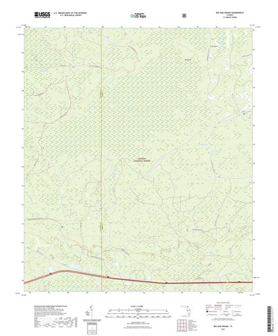 United States Geological Survey Big Gum Swamp, FL (2021, 24000-Scale) digital map