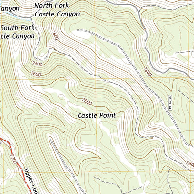 United States Geological Survey Big Springs, AZ (2021, 24000-Scale) digital map
