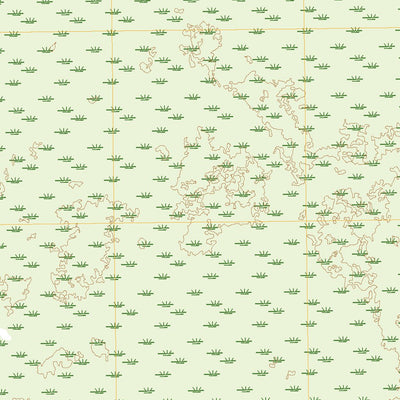 United States Geological Survey Billys Island, GA (2020, 24000-Scale) digital map
