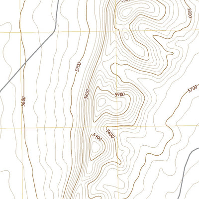 United States Geological Survey Bishop Ranch, NM (2020, 24000-Scale) digital map