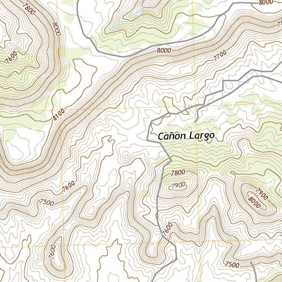 United States Geological Survey Borrego Pass, NM (2020, 24000-Scale) digital map