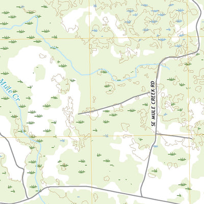 United States Geological Survey Bronson SW, FL (2021, 24000-Scale) digital map