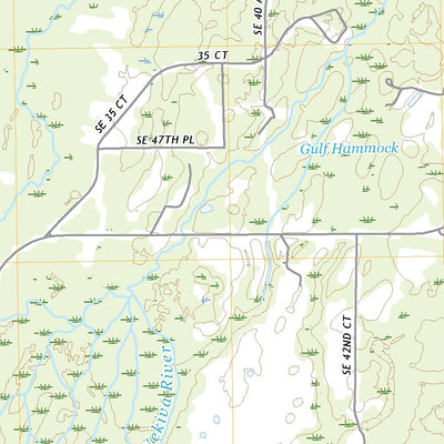 United States Geological Survey Bronson SW, FL (2021, 24000-Scale) digital map