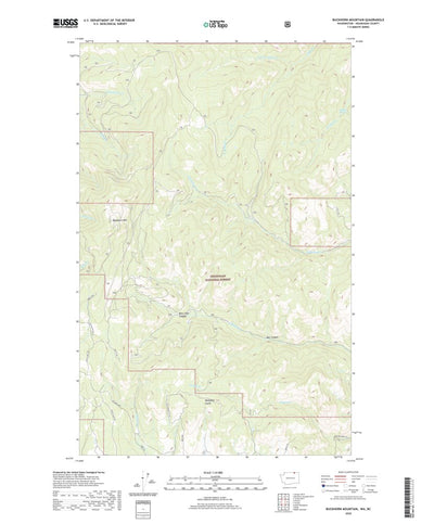 United States Geological Survey Buckhorn Mountain, WA (2020, 24000-Scale) digital map