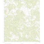 United States Geological Survey Buena Vista NE, GA (2020, 24000-Scale) digital map