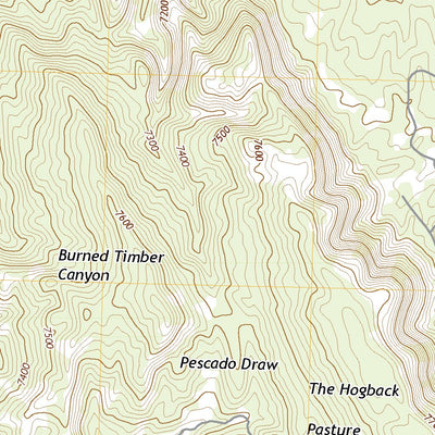 United States Geological Survey Burned Timber Canyon, NM (2020, 24000-Scale) digital map