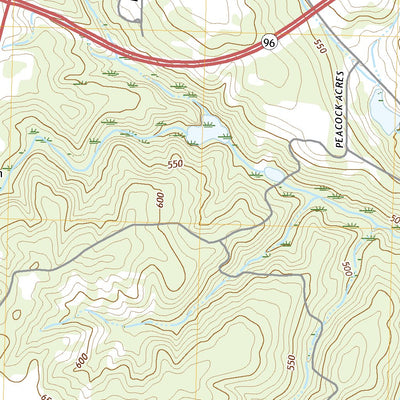 United States Geological Survey Butler East, GA (2020, 24000-Scale) digital map