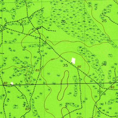United States Geological Survey Cambon, FL (1917, 62500-Scale) digital map