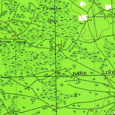 United States Geological Survey Cambon, FL (1917, 62500-Scale) digital map