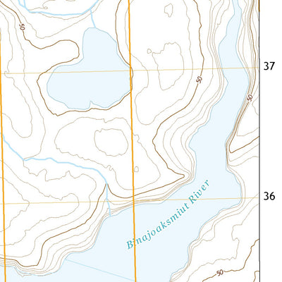 United States Geological Survey Cape Mendenhall D-5 SE, AK (2020, 25000-Scale) digital map
