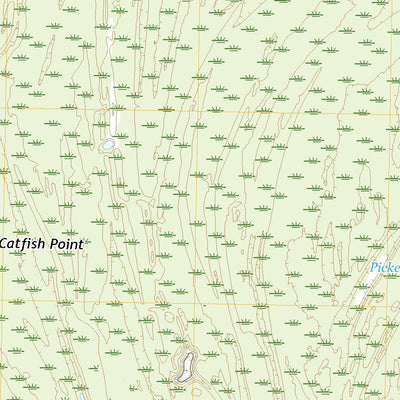 United States Geological Survey Catfish Point, MS (2020, 24000-Scale) digital map