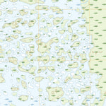 United States Geological Survey Chase Prairie, GA (2020, 24000-Scale) digital map