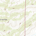United States Geological Survey Chimney Lake, NM (2020, 24000-Scale) digital map
