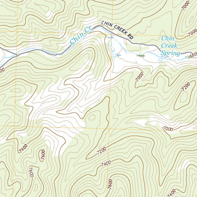 United States Geological Survey Chin Creek Spring, NV (2021, 24000-Scale) digital map