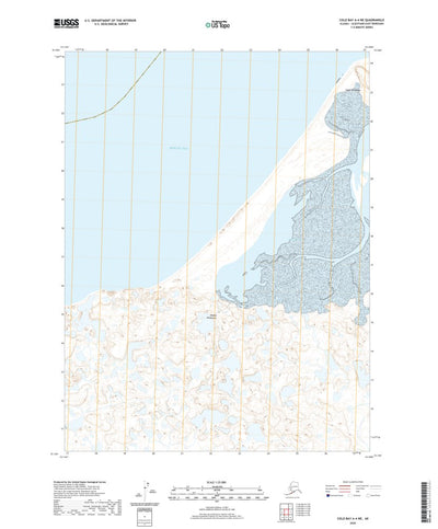 United States Geological Survey Cold Bay A-4 NE, AK (2020, 25000-Scale) digital map